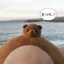 장전역 고기집 호경 야장느낌 나는 마당에서 삼겹살 먹기