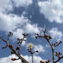 원동축산 이미지