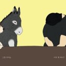양철북라이브 이미지