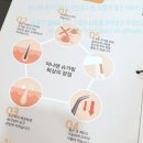 아나덴 슈가링왁싱 인천송도점 | 아나덴 슈가링왁싱 인천송도점, 이렇게 좋은 이유가 있었네요!