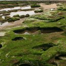 바닷가돌빌레 이미지