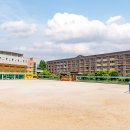 영통초등학교 이미지