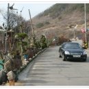 산불조심 기동단속과 전통마을숲 찾기(3.31/4.1) 이미지