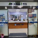 코끼리휴병원 이미지