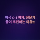 O-1 이미지