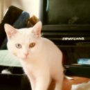 양평2동-1 이미지