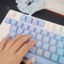 아몰랑 | 김해 부원동 아이스퀘어 메인네일 8월이달의아트 키티네일 내돈내산 후기