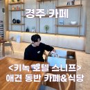 경주 애견동반 카페 키녹 호텔 스니프 방문 후기