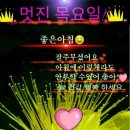 당신의봄날 Daum카페