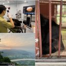 국립공원공단 국립공원야생생물보전원 야생동물의료센터 이미지