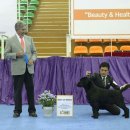 네발로 코리아 이미지