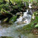 청풍농장 이미지