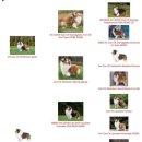 여주-0898 이미지