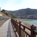 단양강잔도 이미지