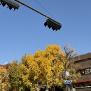 나누미 갈비 | 혜화맛집 : 페르시안궁전 방문 실패하고 명륜진사갈비 방문 후기_장어, 스테이크맛은?! (아기의자o)