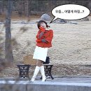 호로록