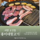 41190-01-07-294 | 부산 서면 고깃집 배터지게 먹기 용이네뒷고기