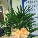 추신경외과 네이버블로그