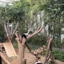 (주)조강랜드 이미지