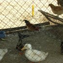 비탈길굽이돌아 이미지