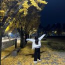 달려라 낙영아 청춘이다.