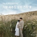 수산리-14 | 가을 제주도 포토 스팟, 가는 곳마다 인생 샷 맛집!