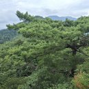 산길 - 구로구 구로동로 110-1 | 산길