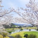 그레이스컨트리클럽 이미지