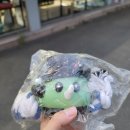 펫츠로그 양산점 이미지