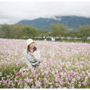 가조온천 이미지