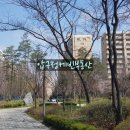 압구정-117 이미지