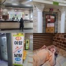 익산스파랜드사우나 | 관악구 찜질방 &#39;봉일 스파랜드&#39; 봉천 사우나 후기 (영업시간, 주차, 가격, 매점)