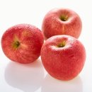 사과, 건강에 미치는 효과 5가지 이미지