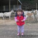 GOAT농장 이미지