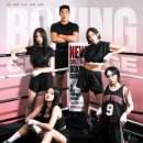 팔로니아 복싱 이미지