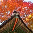 보람렌트카 이미지