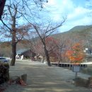 순천만여행스케치 이미지