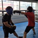 용인대W복싱짐 이미지