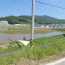 은석초등학교 병설유치원 이미지