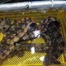 대포횟집 이미지