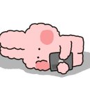 술집정