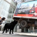 새차처럼 - 양산시 어곡로 6 | 새차처럼