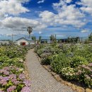 언덕위에 이미지