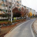 상오정로182번길 이미지