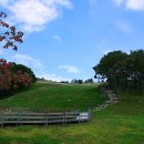 시나브로목장 이미지