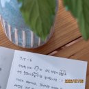 할머니민박 | 경기도촌캉스 강아지와 아기와 함께 가기 좋은 힐링 숙소 꼬순이네 민박 후기