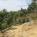 솔향기 쉼터 이미지