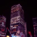 행운냥이 이미지