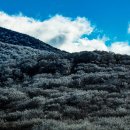 한라산풍경 이미지