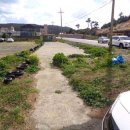 산이수동 이미지